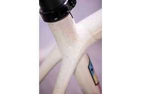 SPECIALIZED CRUX FORCE T-52 - BICICLETA SEMINUEVA