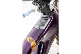 LAPIERRE PRORACE 8.9 29 T-M - BICICLETA SEGUNDA MANO