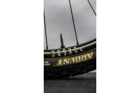 CANYON LUX 2020 T-XL BICILETA SEGUNDA MANO