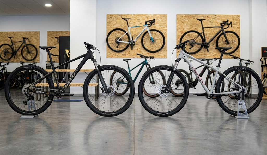 Biciceltas de MTB por menos de 1000 euros