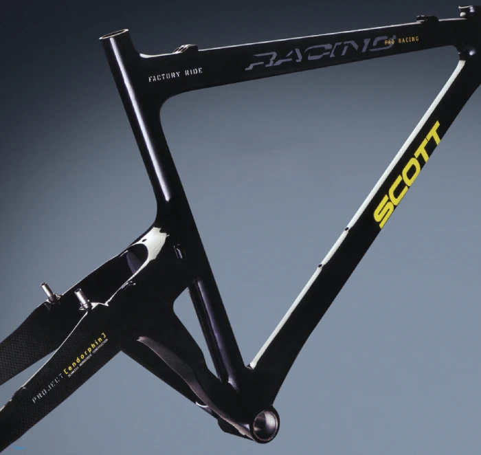 Cuadro Scott Endorphin