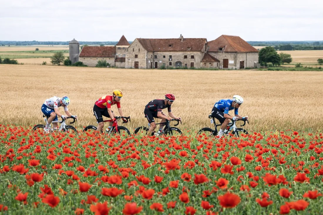 Ciclistas fugados etapa 11 Tour de Francia 2026