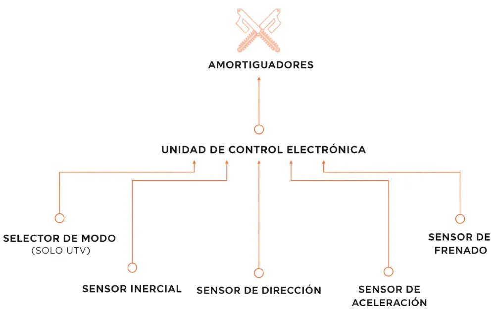 Funcionamiento Fox Neo Live