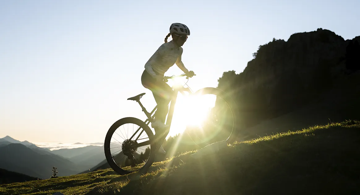 Test Megamo Track 2026